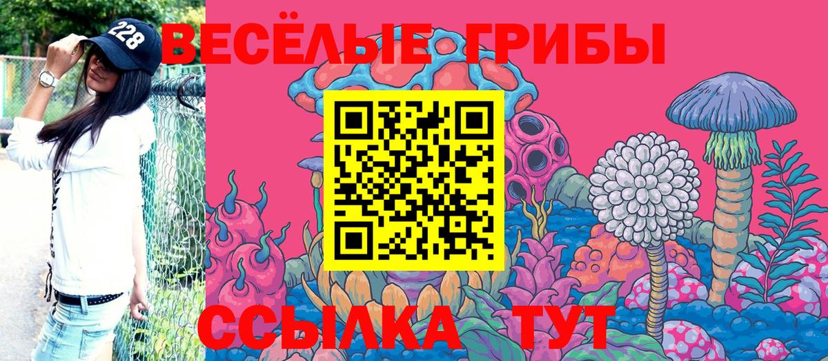 Сунжа  Псилоцибиновые грибы ЛСД  Вход с VPN 