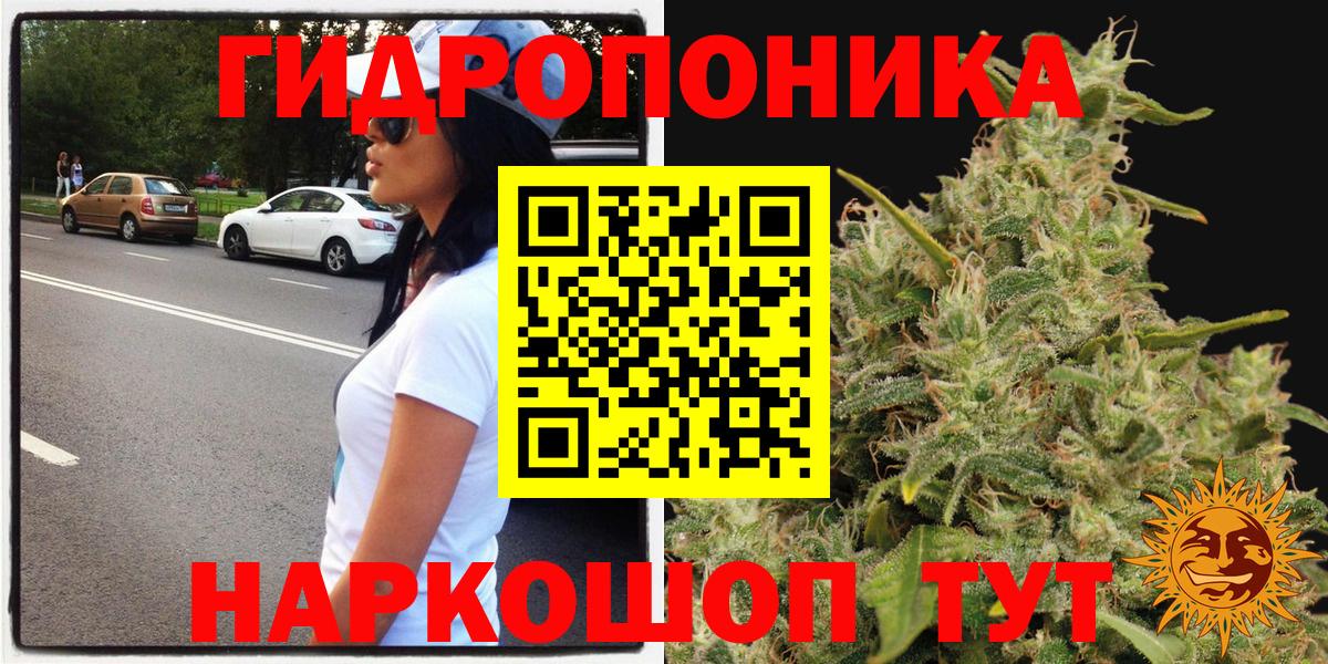 Каннабис ГИДРОПОН  Бошки Шишки планчик  Шишки марихуана White Widow  Вход с VPN  Сунжа 